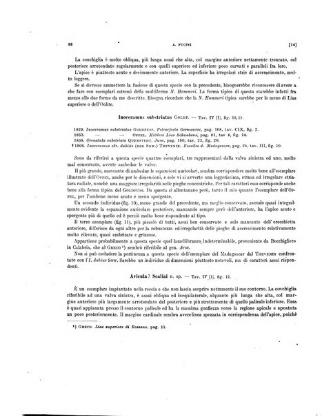 Palaeontographia Italica raccolta di monografie paleontologiche fondata da Mario Canavari nell'anno 1895