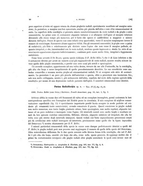 Palaeontographia Italica raccolta di monografie paleontologiche fondata da Mario Canavari nell'anno 1895