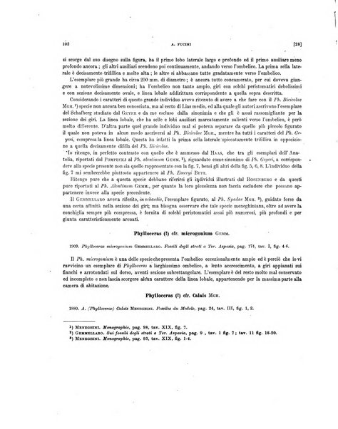 Palaeontographia Italica raccolta di monografie paleontologiche fondata da Mario Canavari nell'anno 1895