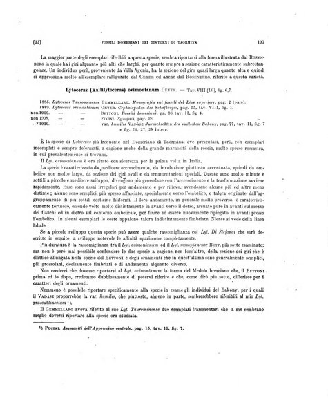 Palaeontographia Italica raccolta di monografie paleontologiche fondata da Mario Canavari nell'anno 1895