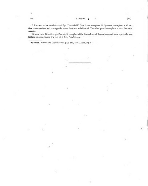 Palaeontographia Italica raccolta di monografie paleontologiche fondata da Mario Canavari nell'anno 1895