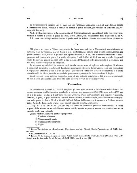 Palaeontographia Italica raccolta di monografie paleontologiche fondata da Mario Canavari nell'anno 1895