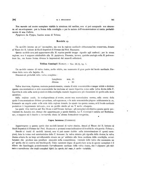 Palaeontographia Italica raccolta di monografie paleontologiche fondata da Mario Canavari nell'anno 1895