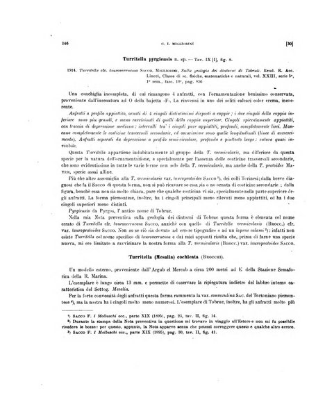 Palaeontographia Italica raccolta di monografie paleontologiche fondata da Mario Canavari nell'anno 1895