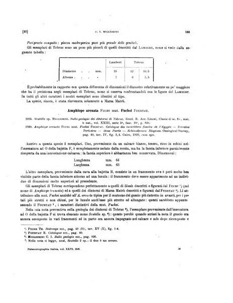 Palaeontographia Italica raccolta di monografie paleontologiche fondata da Mario Canavari nell'anno 1895