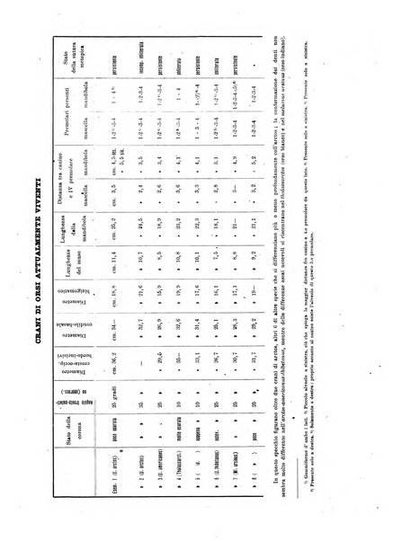 Palaeontographia Italica raccolta di monografie paleontologiche fondata da Mario Canavari nell'anno 1895