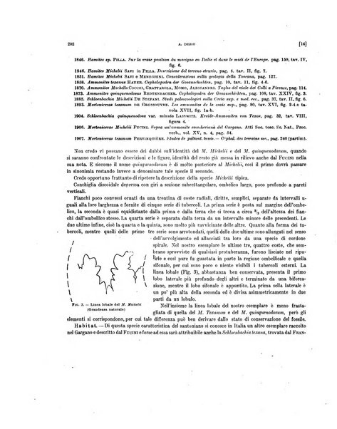 Palaeontographia Italica raccolta di monografie paleontologiche fondata da Mario Canavari nell'anno 1895