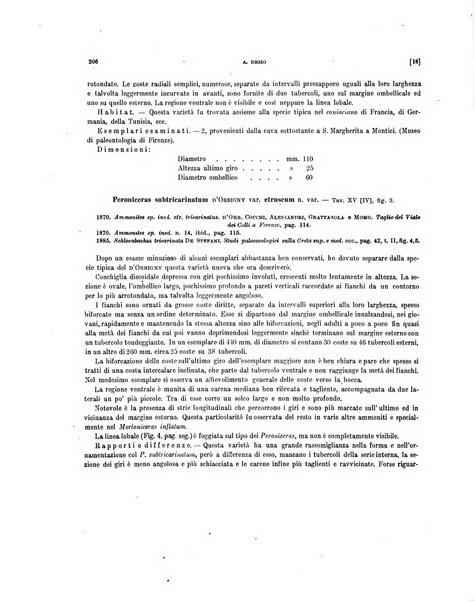 Palaeontographia Italica raccolta di monografie paleontologiche fondata da Mario Canavari nell'anno 1895