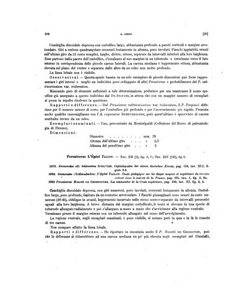 Palaeontographia Italica raccolta di monografie paleontologiche fondata da Mario Canavari nell'anno 1895