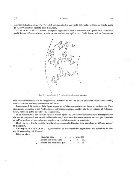 Palaeontographia Italica raccolta di monografie paleontologiche fondata da Mario Canavari nell'anno 1895