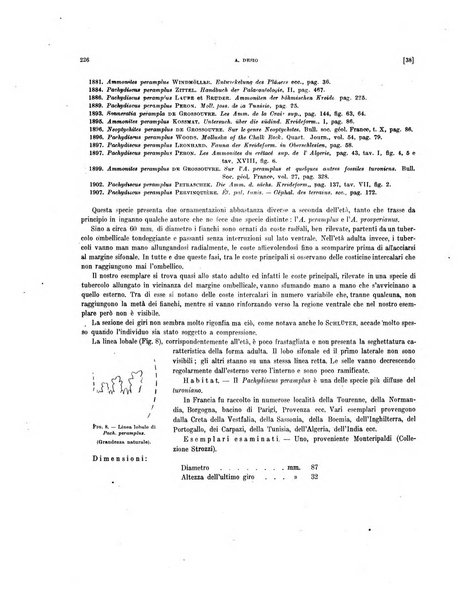 Palaeontographia Italica raccolta di monografie paleontologiche fondata da Mario Canavari nell'anno 1895