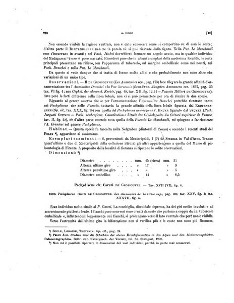 Palaeontographia Italica raccolta di monografie paleontologiche fondata da Mario Canavari nell'anno 1895