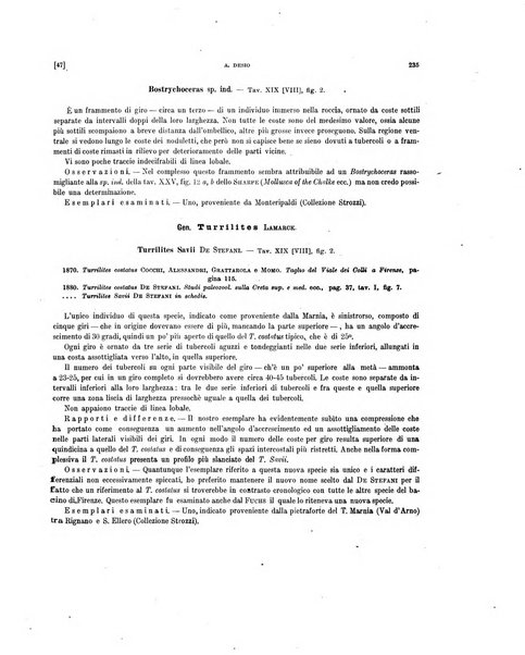 Palaeontographia Italica raccolta di monografie paleontologiche fondata da Mario Canavari nell'anno 1895