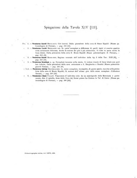 Palaeontographia Italica raccolta di monografie paleontologiche fondata da Mario Canavari nell'anno 1895