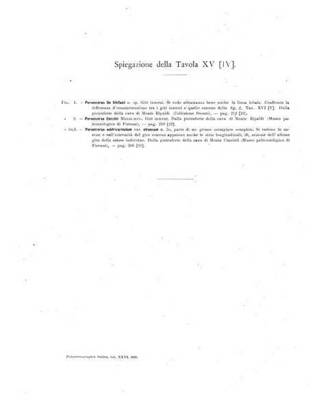 Palaeontographia Italica raccolta di monografie paleontologiche fondata da Mario Canavari nell'anno 1895