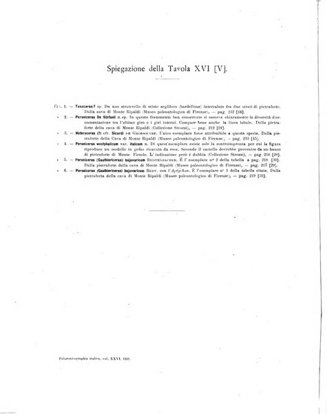 Palaeontographia Italica raccolta di monografie paleontologiche fondata da Mario Canavari nell'anno 1895