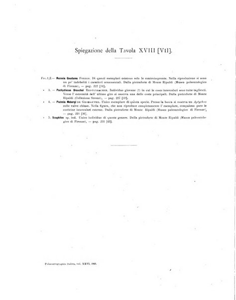 Palaeontographia Italica raccolta di monografie paleontologiche fondata da Mario Canavari nell'anno 1895