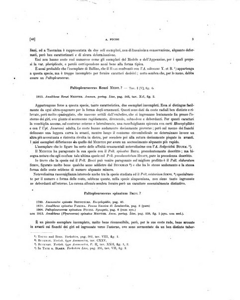 Palaeontographia Italica raccolta di monografie paleontologiche fondata da Mario Canavari nell'anno 1895