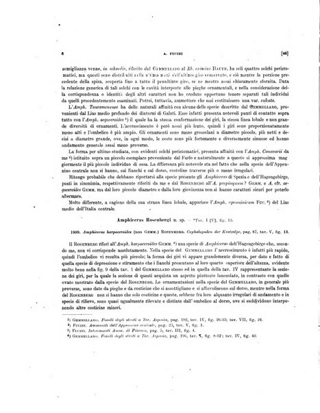 Palaeontographia Italica raccolta di monografie paleontologiche fondata da Mario Canavari nell'anno 1895