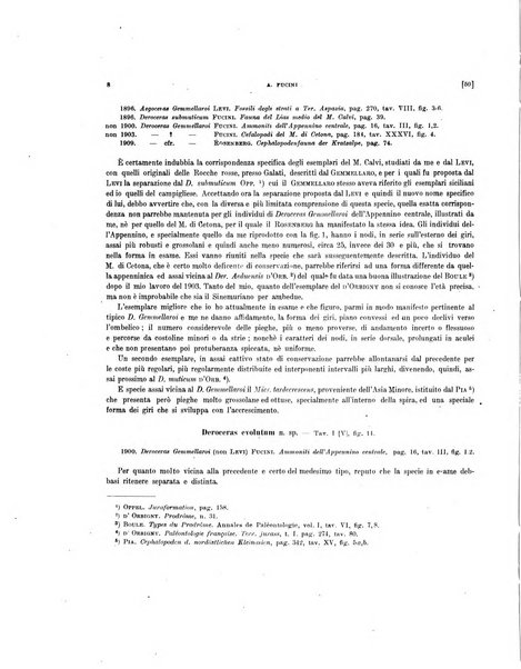 Palaeontographia Italica raccolta di monografie paleontologiche fondata da Mario Canavari nell'anno 1895