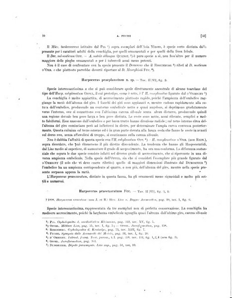 Palaeontographia Italica raccolta di monografie paleontologiche fondata da Mario Canavari nell'anno 1895