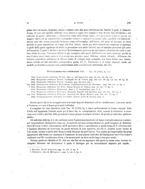 Palaeontographia Italica raccolta di monografie paleontologiche fondata da Mario Canavari nell'anno 1895