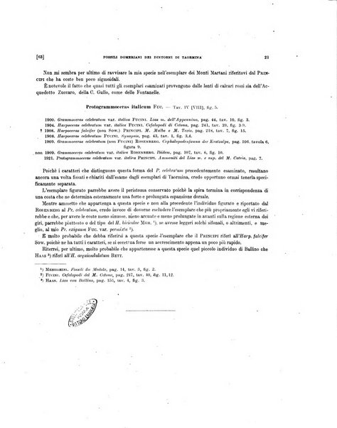 Palaeontographia Italica raccolta di monografie paleontologiche fondata da Mario Canavari nell'anno 1895