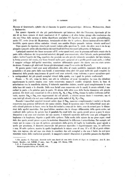 Palaeontographia Italica raccolta di monografie paleontologiche fondata da Mario Canavari nell'anno 1895