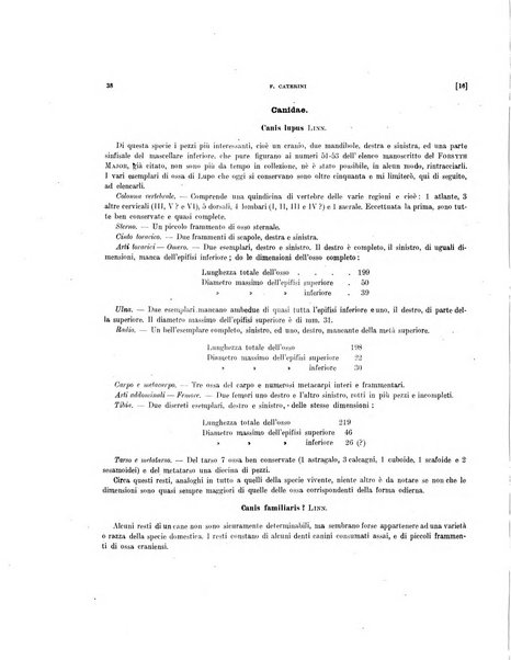 Palaeontographia Italica raccolta di monografie paleontologiche fondata da Mario Canavari nell'anno 1895