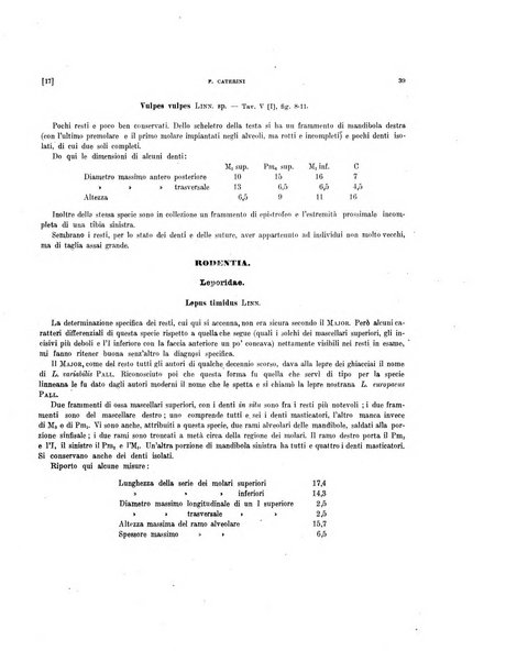 Palaeontographia Italica raccolta di monografie paleontologiche fondata da Mario Canavari nell'anno 1895