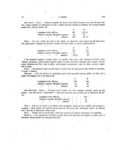 Palaeontographia Italica raccolta di monografie paleontologiche fondata da Mario Canavari nell'anno 1895