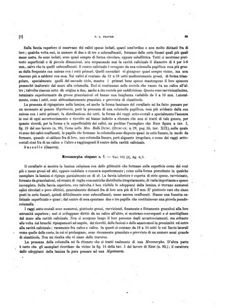 Palaeontographia Italica raccolta di monografie paleontologiche fondata da Mario Canavari nell'anno 1895