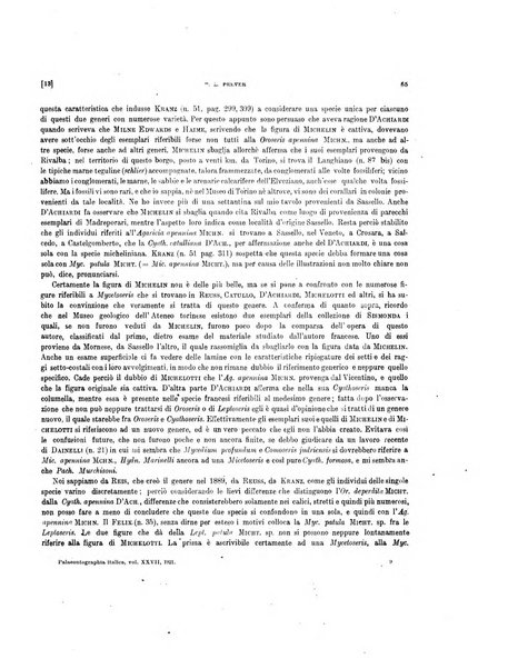 Palaeontographia Italica raccolta di monografie paleontologiche fondata da Mario Canavari nell'anno 1895