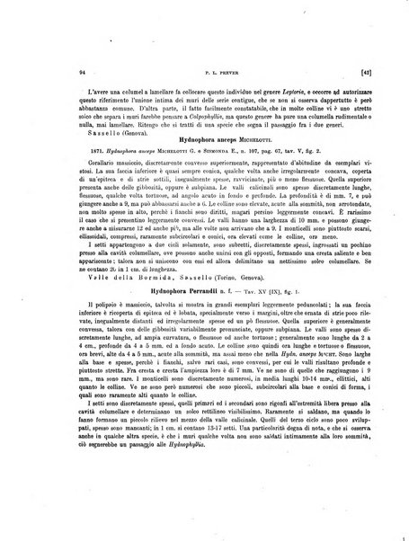 Palaeontographia Italica raccolta di monografie paleontologiche fondata da Mario Canavari nell'anno 1895