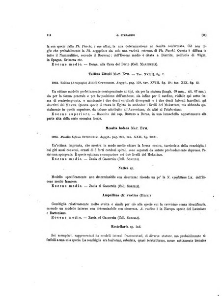 Palaeontographia Italica raccolta di monografie paleontologiche fondata da Mario Canavari nell'anno 1895