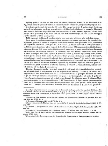 Palaeontographia Italica raccolta di monografie paleontologiche fondata da Mario Canavari nell'anno 1895