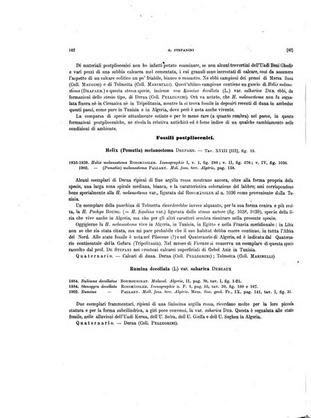 Palaeontographia Italica raccolta di monografie paleontologiche fondata da Mario Canavari nell'anno 1895