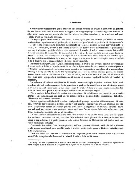 Palaeontographia Italica raccolta di monografie paleontologiche fondata da Mario Canavari nell'anno 1895