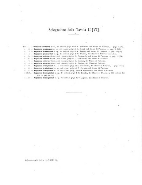 Palaeontographia Italica raccolta di monografie paleontologiche fondata da Mario Canavari nell'anno 1895