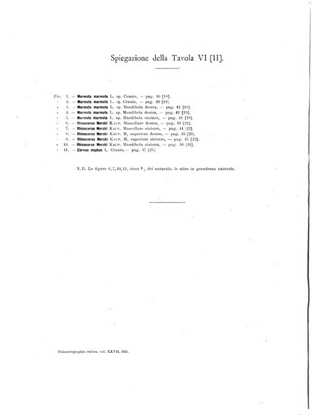 Palaeontographia Italica raccolta di monografie paleontologiche fondata da Mario Canavari nell'anno 1895