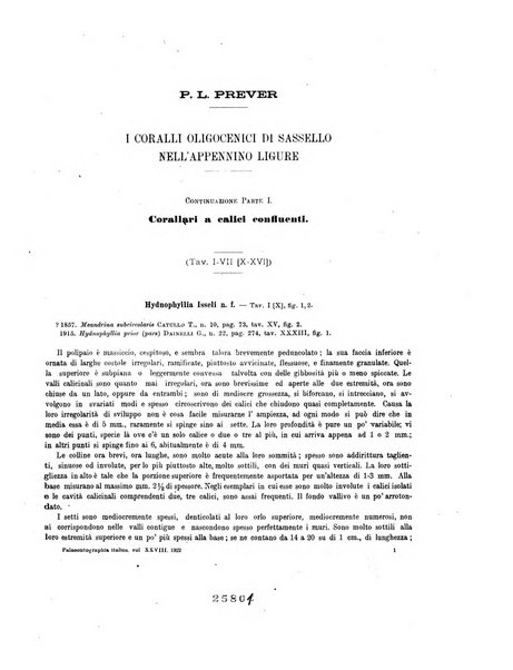 Palaeontographia Italica raccolta di monografie paleontologiche fondata da Mario Canavari nell'anno 1895