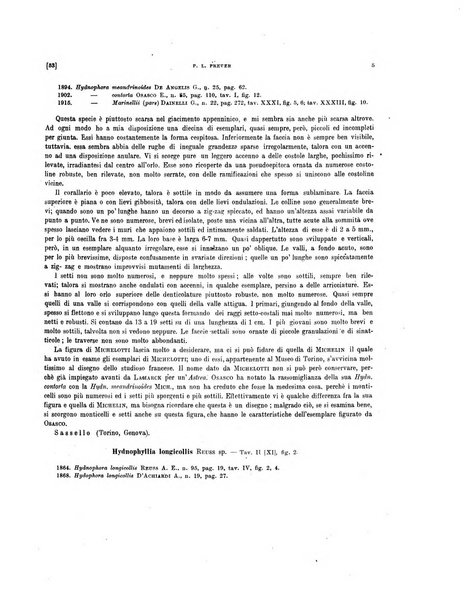 Palaeontographia Italica raccolta di monografie paleontologiche fondata da Mario Canavari nell'anno 1895