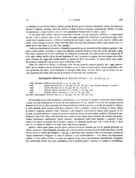 Palaeontographia Italica raccolta di monografie paleontologiche fondata da Mario Canavari nell'anno 1895