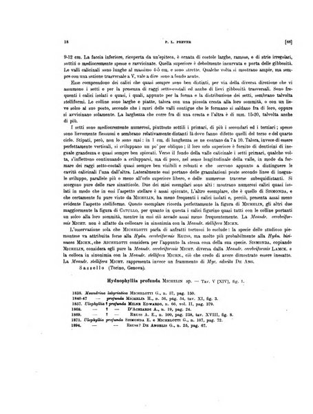 Palaeontographia Italica raccolta di monografie paleontologiche fondata da Mario Canavari nell'anno 1895