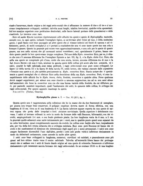 Palaeontographia Italica raccolta di monografie paleontologiche fondata da Mario Canavari nell'anno 1895