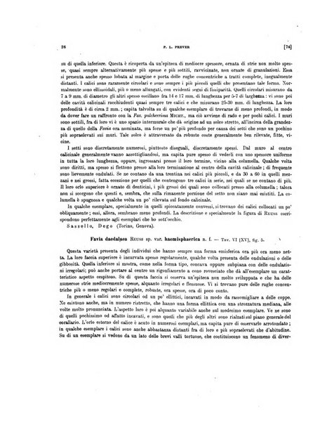 Palaeontographia Italica raccolta di monografie paleontologiche fondata da Mario Canavari nell'anno 1895