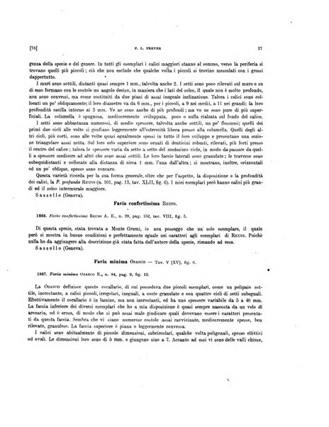 Palaeontographia Italica raccolta di monografie paleontologiche fondata da Mario Canavari nell'anno 1895