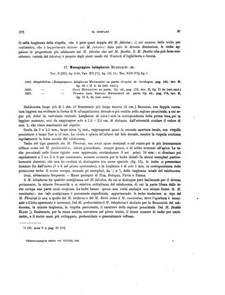 Palaeontographia Italica raccolta di monografie paleontologiche fondata da Mario Canavari nell'anno 1895