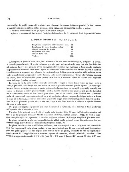 Palaeontographia Italica raccolta di monografie paleontologiche fondata da Mario Canavari nell'anno 1895