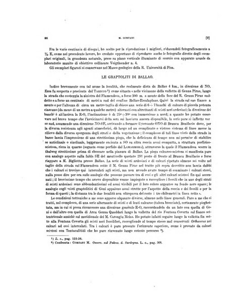 Palaeontographia Italica raccolta di monografie paleontologiche fondata da Mario Canavari nell'anno 1895